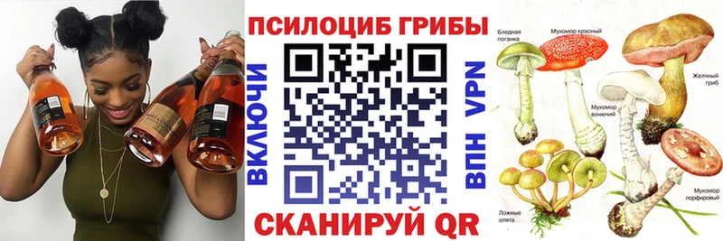 Галлюциногенные грибы ЛСД  kraken зеркало  Малая Вишера 